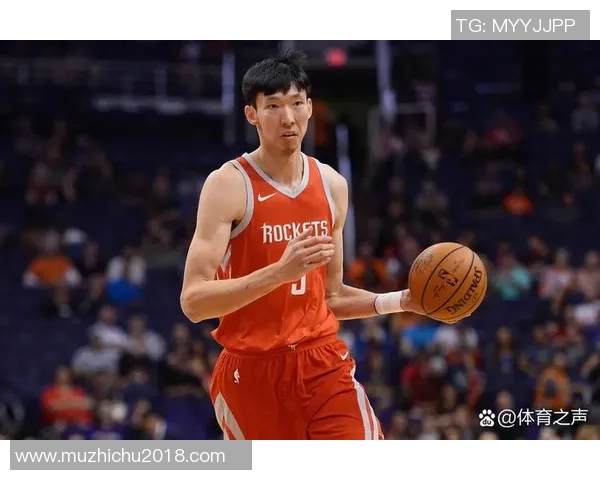 他是篮球明星背后的奋斗故事与荣耀时刻